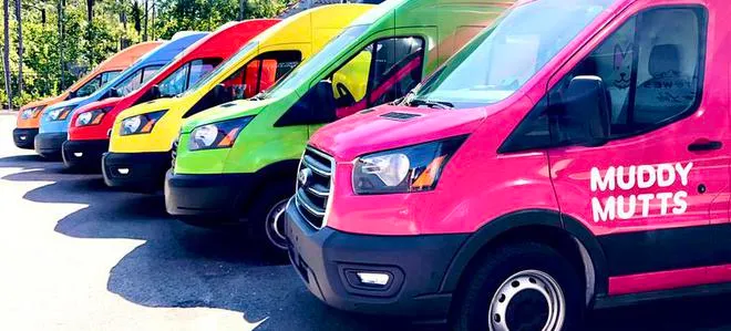 Colorful Muddy Mutts mobile grooming vans lined up together