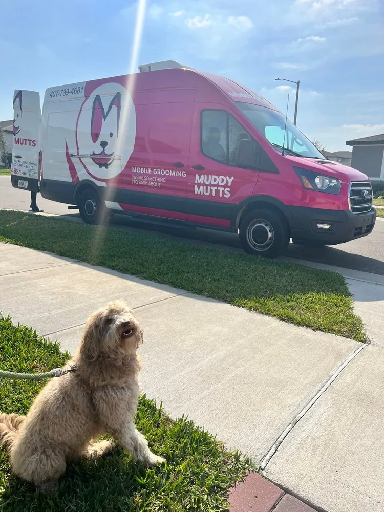 Pink Muddy Mutts grooming van parked beside a freshly groomed dog